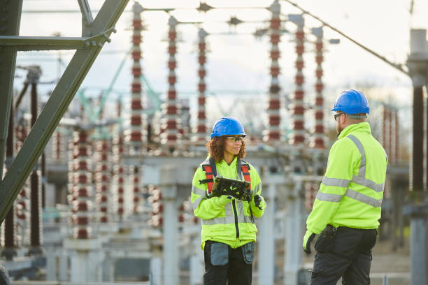 Best Electric Panel Repair  in Laurel Hill, NC