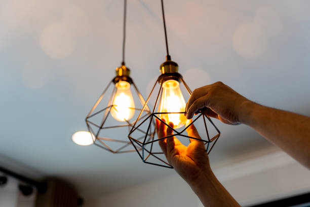 Best Electrical Repair Services  in Laurel Hill, NC